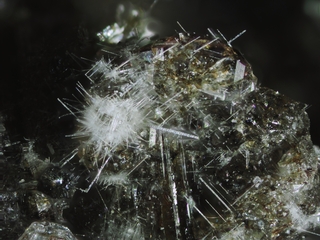 Deutschland/Rheinland-Pfalz/Mayen-Koblenz-Kreis/Vordereifel, Verbandsgemeinde/Ettringen/Bellerberg/Ettringer Bellerberg (Stbr. Caspar)