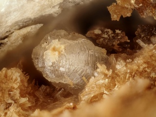 Deutschland/Bayern/Oberpfalz, Bezirk/Neustadt an der Waldnaab, Landkreis/Waidhaus/Hagendorf/Hagendorf-Süd (Grube Cornelia)