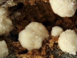 Deutschland/Bayern/Oberpfalz, Bezirk/Neustadt an der Waldnaab, Landkreis/Waidhaus/Hagendorf/Hagendorf-Süd (Grube Cornelia)