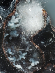 Deutschland/Rheinland-Pfalz/Mayen-Koblenz-Kreis/Pellenz, Verbandsgemeinde/Nickenich/Nickenicher Weinberg (Sattelberg)