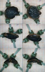 Deutschland/Hessen/Gießen, Bezirk/Lahn-Dill-Kreis/Waldsolms/Kraftsolms