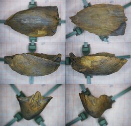 Deutschland/Hessen/Gießen, Bezirk/Lahn-Dill-Kreis/Waldsolms/Kraftsolms