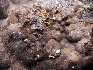 Deutschland/Rheinland-Pfalz/Donnersbergkreis/Winnweiler, Verbandsgemeinde/Imsbach, Ortsgemeinde/Grube Katharina II