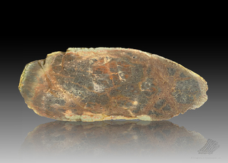 Deutschland/Thüringen/Altenburger Land, Landkreis/Altenburg, Stadt/Ehrenberg, Ortsteil/Mockzig