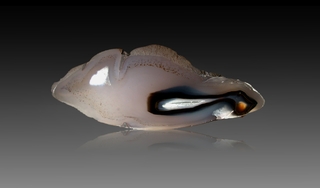 Mongolei/Öwörchangai (Övörkhangai), Aimag/Berg Burugdi