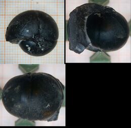 Deutschland/Nordrhein-Westfalen/Arnsberg, Bezirk/Hochsauerlandkreis/Arnsberg/Uentrop/Herdringen