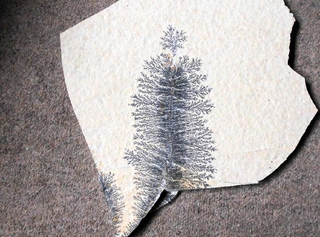 Deutschland/Bayern/Mittelfranken, Bezirk/Weißenburg-Gunzenhausen, Landkreis/Langenaltheim, Gemeinde/Langenaltheimer Haardt/Steinbrüche