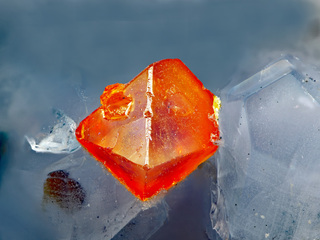 Deutschland/Rheinland-Pfalz/Mayen-Koblenz-Kreis/Mendig, Verbandsgemeinde/In den Dellen (Grube Zieglowski)