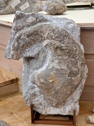 Schweden/Gotland, Provinz/Kappelshamn