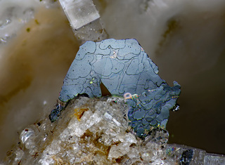 Deutschland/Rheinland-Pfalz/Mayen-Koblenz-Kreis/Mendig, Verbandsgemeinde/In den Dellen (Grube Zieglowski)