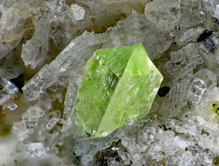 Deutschland/Rheinland-Pfalz/Mayen-Koblenz-Kreis/Mendig, Verbandsgemeinde/In den Dellen (Grube Zieglowski)