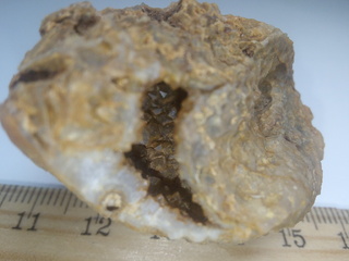 Deutschland/Sachsen/Dresden/Schönfeld-Weißig/Weißig