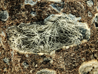 USA/Arizona/Yavapai County/Badger Springs/Interstate 17, Exit 256