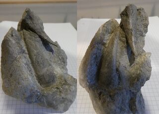 Deutschland/Schleswig-Holstein/Ostholstein, Landkreis/Bad Malente