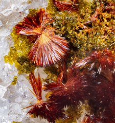 Frankreich/Auvergne-Rhône-Alpes, Région/Allier, Département/Montluçon, Arrondissement/Echassières/Les Montmins (Sainte Barbe filon)