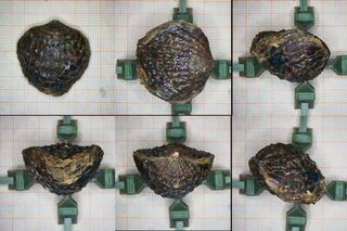 Deutschland/Nordrhein-Westfalen/Köln, Bezirk/Euskirchen, Kreis/Kall, Gemeinde/Sötenich