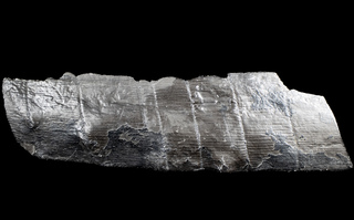 Deutschland/Nordrhein-Westfalen/Münster, Bezirk/Bottrop/Bergwerk Prosper-Haniel (Zechen Franz-Haniel, Prosper, Jacobi)