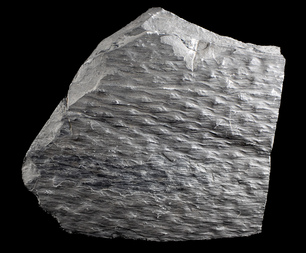 Deutschland/Nordrhein-Westfalen/Münster, Bezirk/Bottrop/Bergwerk Prosper-Haniel (Zechen Franz-Haniel, Prosper, Jacobi)