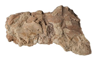 Deutschland/Baden-Württemberg/Stuttgart, Bezirk/Stuttgart, kreisfreie Stadt/Untertürkheim, Stadtbezirk