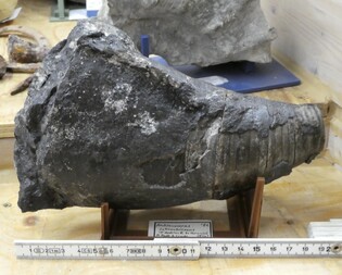 Deutschland/Nordrhein-Westfalen/Köln, Bezirk/Oberbergischer Kreis/Lindlar