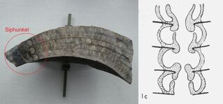 Deutschland/Nordrhein-Westfalen/Köln, Bezirk/Oberbergischer Kreis/Lindlar
