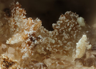 Deutschland/Baden-Württemberg/Freiburg, Bezirk/Breisgau-Hochschwarzwald, Landkreis/Schauinsland/Hofsgrund (Südfeld)/Willnauer Halden