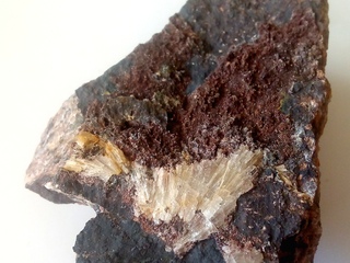 Deutschland/Sachsen/Plauenscher Grund