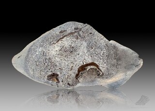 Österreich/Oberösterreich/Braunau am Inn, Bezirk/St. Pantaleon, Gemeinde/Wildshut, Katastralgemeinde/Braunkohlebergbau Trimmelkam