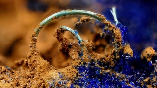 Deutschland/Niedersachsen/Goslar, Landkreis/Braunlage/St. Andreasberg, Revier/Galgenberg/Grube Prinz Maximilian