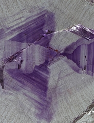 Namibia/Erongo, Region/Dâures, Kreis/Brandberg-Gebiet/Goboboseb-Berge/Tafelkop