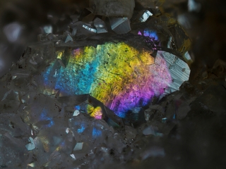 Deutschland/Hessen/Gießen, Bezirk/Limburg-Weilburg, Landkreis/Runkel/Steeden/Kalksteinbruch Steeden