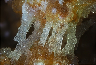 Deutschland/Saarland/Saarlouis, Landkreis/Lebach/Steinbach