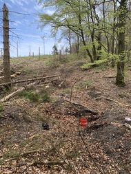 Deutschland/Niedersachsen/Goslar, Landkreis/Braunlage/St. Andreasberg, Revier/Beerberg/Grube Alter Theuerdank