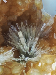 Deutschland/Rheinland-Pfalz/Bad Dürkheim, Landkreis/Forst an der Weinstraße/Pechsteinkopf