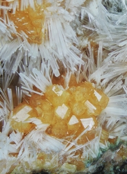 Deutschland/Rheinland-Pfalz/Bad Dürkheim, Landkreis/Forst an der Weinstraße/Pechsteinkopf