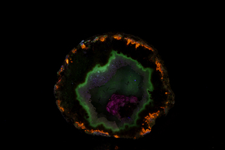 Mexiko/Chihuahua, Estado/Chihuahua, Municipio/Las Choyas