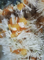 Deutschland/Rheinland-Pfalz/Bad Dürkheim, Landkreis/Forst an der Weinstraße/Pechsteinkopf