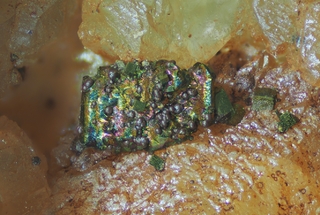 Deutschland/Rheinland-Pfalz/Kusel, Landkreis/Lauterecken-Wolfstein, Verbandsgemeinde/Jettenbach/Steinbruch am Potschberg