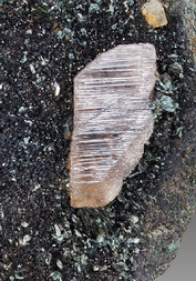 Italien/Piemont (Piemonte), Region/Metropolitanstadt Turin/Villar Focchiardo, Gemeinde/Monte Pian Real