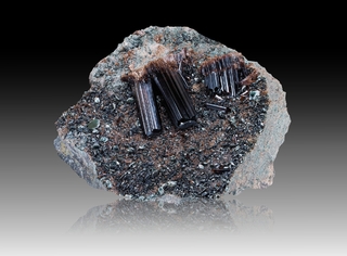 Italien/Piemont (Piemonte), Region/Metropolitanstadt Turin/Villar Focchiardo, Gemeinde/Monte Pian Real