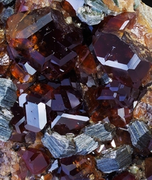 Italien/Piemont (Piemonte), Region/Metropolitanstadt Turin/Condove, Gemeinde/Alpe delle Frasse