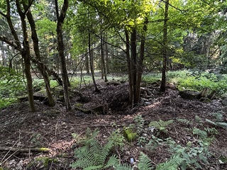 Deutschland/Sachsen/Erzgebirgskreis/Marienberg, Revier/Wolkenstein/Falkenbach/Schacht 292