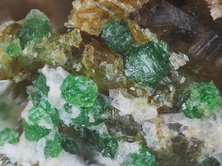 Österreich/Tirol/Schwaz, Bezirk/Mayrhofen, Marktgemeinde/Zemmgrund-Nord/Ochsner