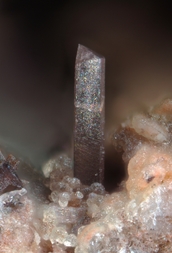 Deutschland/Rheinland-Pfalz/Mayen-Koblenz-Kreis/Vordereifel, Verbandsgemeinde/Ettringen/Bellerberg/Ettringer Bellerberg (Stbr. Caspar)