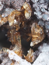 Deutschland/Rheinland-Pfalz/Mayen-Koblenz-Kreis/Vordereifel, Verbandsgemeinde/Ettringen, Gemeinde/Bellerberg/Ettringer Bellerberg (Stbr. Caspar)