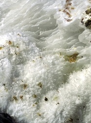 Deutschland/Rheinland-Pfalz/Mayen-Koblenz-Kreis/Vordereifel, Verbandsgemeinde/Ettringen, Gemeinde/Bellerberg/Ettringer Bellerberg (Stbr. Caspar)