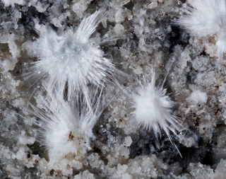 Deutschland/Rheinland-Pfalz/Mayen-Koblenz-Kreis/Vordereifel, Verbandsgemeinde/Ettringen, Gemeinde/Bellerberg/Ettringer Bellerberg (Stbr. Caspar)