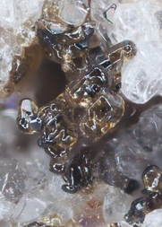 Deutschland/Rheinland-Pfalz/Mayen-Koblenz-Kreis/Mendig, Verbandsgemeinde/In den Dellen (Grube Zieglowski)