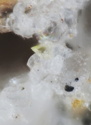 Deutschland/Rheinland-Pfalz/Mayen-Koblenz-Kreis/Mendig, Verbandsgemeinde/In den Dellen (Grube Zieglowski)