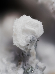 Deutschland/Rheinland-Pfalz/Mayen-Koblenz-Kreis/Pellenz, Verbandsgemeinde/Nickenich/Nickenicher Sattel (Eicher Sattel)